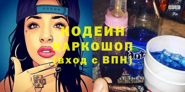 гашик Алексеевка