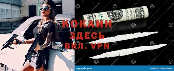 гашик Алексеевка
