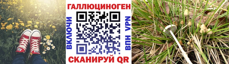 Псилоцибиновые грибы прущие грибы  shop формула  Крым 